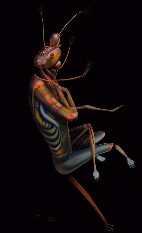 Item #79787343889813582877510155558909016850160649261811296348419943769207413407745 Media