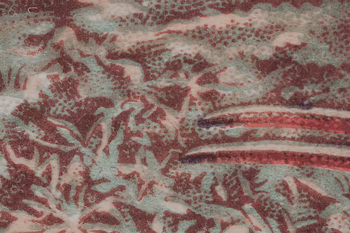 Item #22038897082554510525343258470731156361004216465614041930252992585784115593218 Media