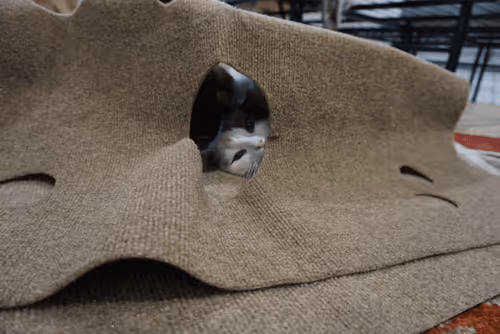 Item #103823190638075684652461829267274249161173063347509023641376403461334567485441 Media