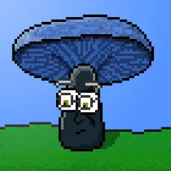 33741781216748986518517832568595493503429706584982134247768925997516629999617