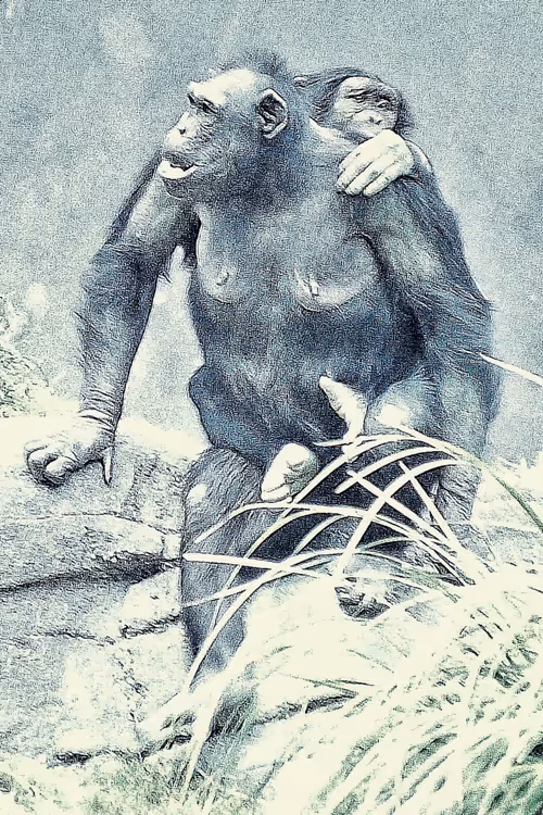 Item #105394010161551018097936078642910549059002323015222353178191530014002619875329 Media