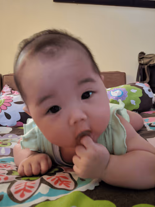 Item #51198950727353000400182026279026974017434036809871363174420400676653676625921 Media