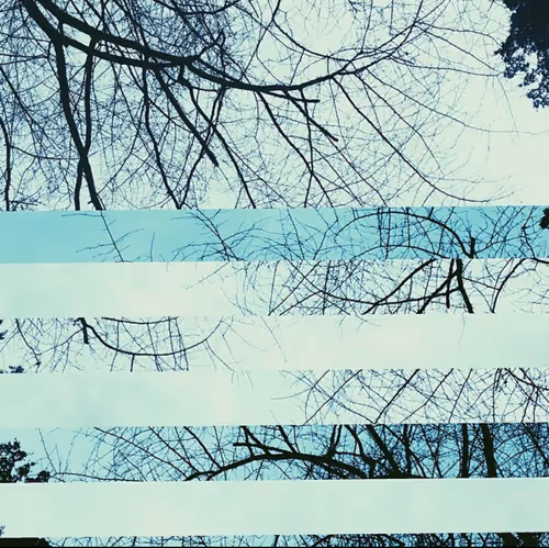 Item #65153916298700067522083748554750574777242795921079823153433125654067387826177 Media