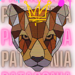 PATAGONIAN COUGAR