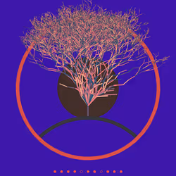 74168867016011539093366687608765447348507224284888477074887990617078178512897