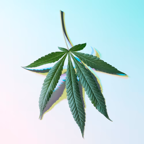 Item #7029275761856656670262206624441722279086749125334094416383120157326838857729 Media