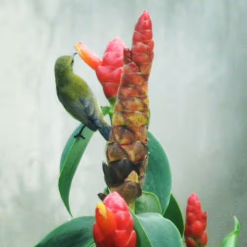 Item #94394910353456792511770389683380397167058265892134190948053464631769724616705 Media