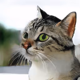 Item #12728629278494559756251794833628937884585760126872557783726729908897099808769 Media