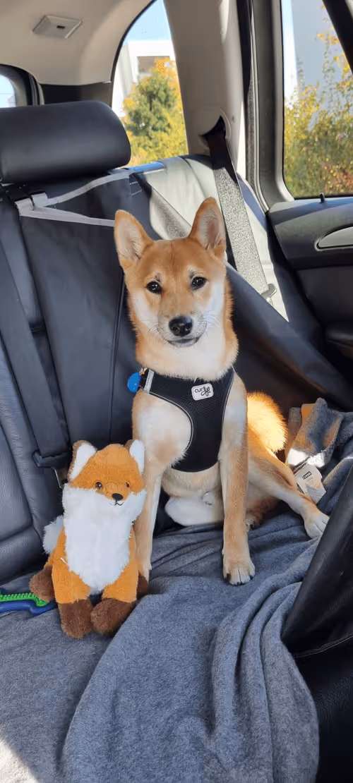 Item #51858709847349082355477028651242767391039160802379825665602477042383716352001 Media