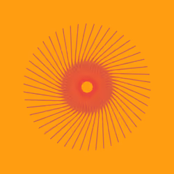 Trip #9 | Rotating Trips