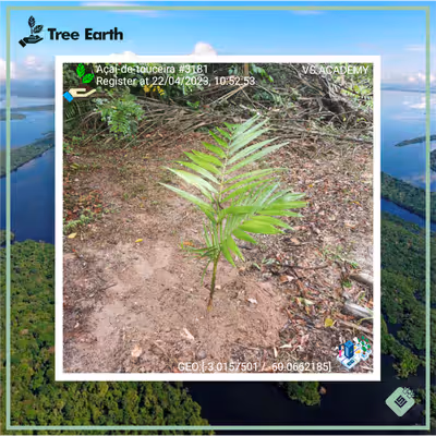 Item #8500196597889277390194123329501889087166328879864934763448349344884825522177 Media