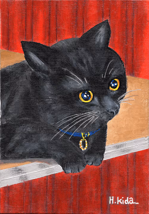 Item #55585405106375286849835946283739298292327576444586911709261980689136076455937 Media