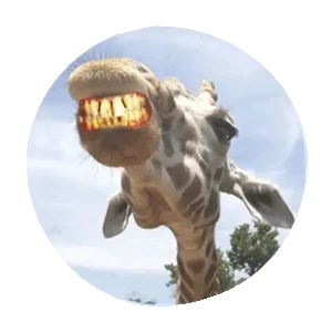 Item #35050624586134779551907097094684509425414576122780354967002837452371789873252 Media