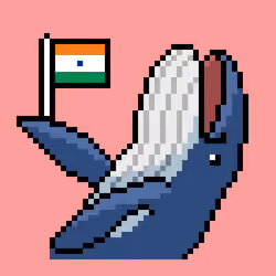 Whale, hello there INDIA!