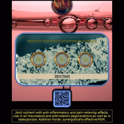 47345187317042621199054541022243487307328885382077496715639673895165651583864