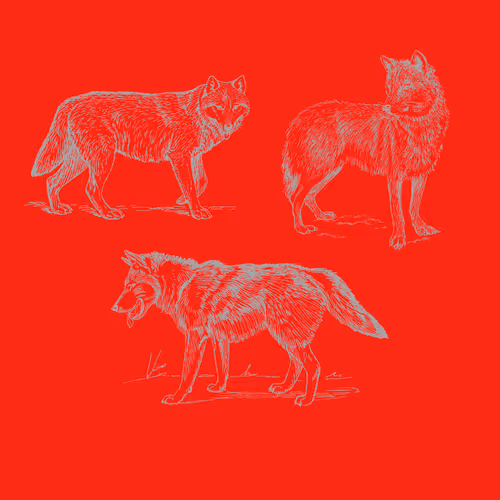 Item #25506781774429673479118459037672467037102609755826934466658808701839418064897 Media