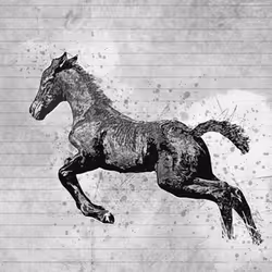 11276162529628641556553056529614973332754405277106184420845745595268219273217