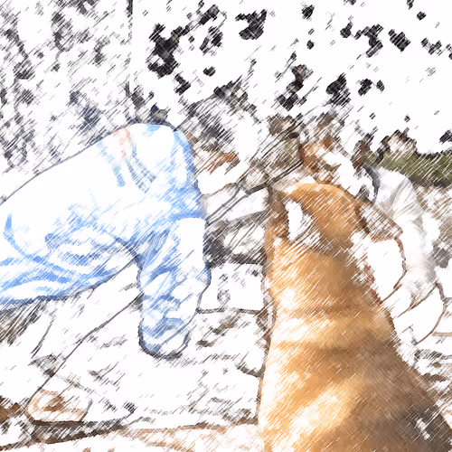 Item #60872619837691221380598772379199687770025926314057253898285761396896339853322 Media