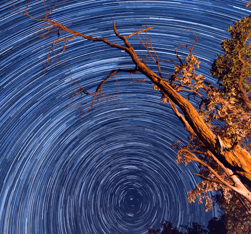 Item #89891320427083052036252289933232728750356970161577239376608436003763975618561 Media