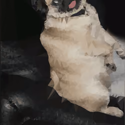 pug Judi