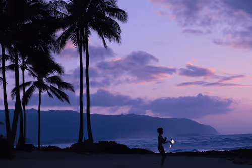 Item #21217790705324758101175761062786421039733409879261131814667265951467346853889 Media