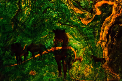 Item #94806680000301901634596530810000111500308784496833093522133532375780736109829 Media