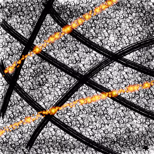 Item #34771696267190516183938811250423694623389452651351155433439240230865662377985 Media