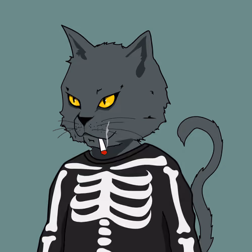 B1 nasty looking cat