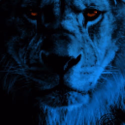 Item #50459515703041392819542908586521529381772501982036057728161511843509059977217 Media