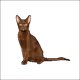 7917608709568526609042417006664391966594597627541652161018316724031616712705