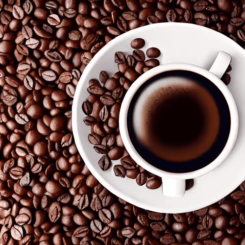 Item #52104948311427859656850118825976135125449208457365869658592067062101008449537 Media