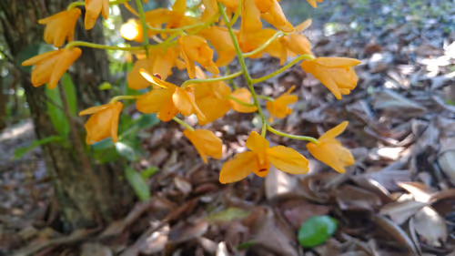 Item #83598511020809395668392107296684727847171301861461078139550822516844870500353 Media