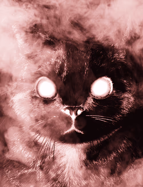 Item #56621992303262747893271366005093707345711101762340673219461019506956503613441 Media