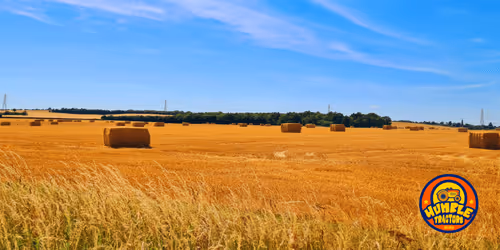 Item #35863194083128256797647772425284652682645032595179500226087347108726270066689 Media