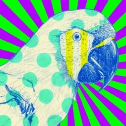 75504568957216009271532412225991883014141589967078103544589205103288074108929