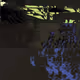21022244131431862133039552538033155632715929697347039006782239026196623917057