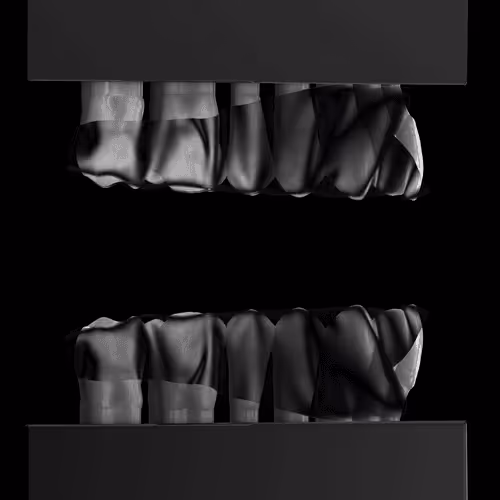 Item #62232289940205459480907166310422704462499916562185049757007232055515946156033 Media