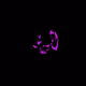 65867561655378031657623305536700098460976261279118771419543218726775826677761