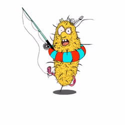 the fisher patato 