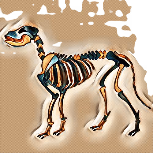 Item #42081262170702613389365717478540578316391077987414755665421109426312001355777 Media