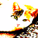 23538819986925566434507765811444276093104658907602947149672917152492416925697