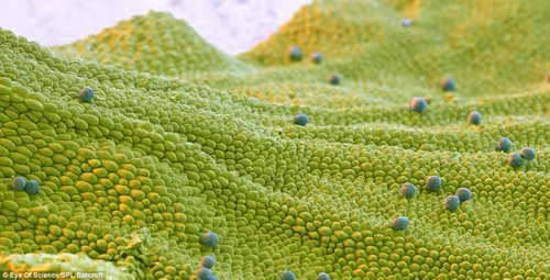 Item #94269245491509990734465210167466884321016156327322156678976395972399062843402 Media