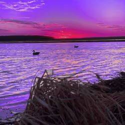 Neon Sunset 003
