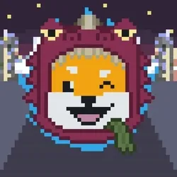 Rocket Shiba #5735