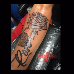 rose tattoo special edition