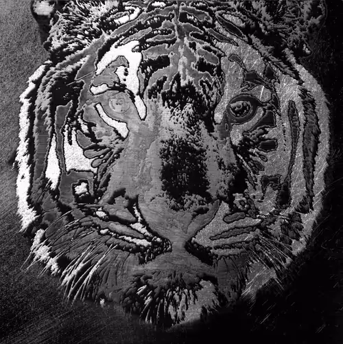 Item #86237857260230094109351666257840853512560942503418433082652455685586843336804 Media