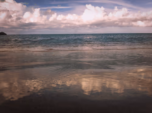 Item #114521557681587448164416414833705315608998654968609078692768572454351335849988 Media