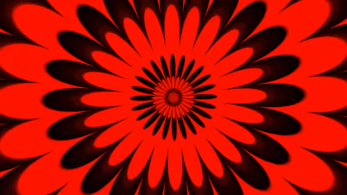 Item #28705053716194123723368629136063987261786158403278846180779108609983476924426 Media