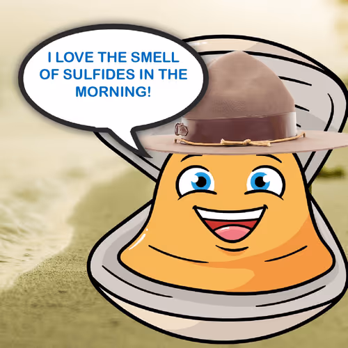 Item #63740481557076843171748722744674070771974254949917767657960007318007028121605 Media