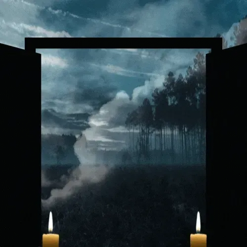 Item #38389305083498971239694236246529461566372963586930572058997571701196705497089 Media